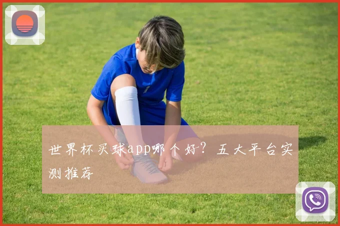 世界杯买球app哪个好？五大平台实测推荐
