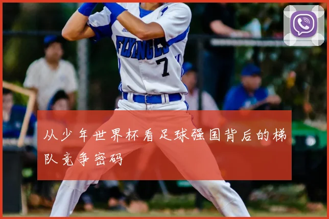 从少年世界杯看足球强国背后的梯队竞争密码