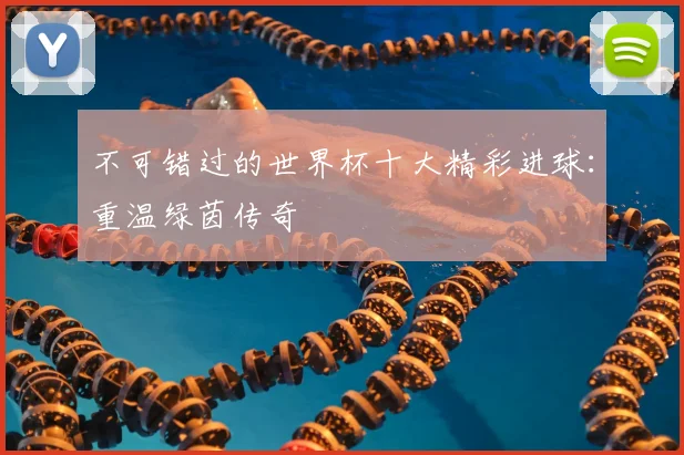 不可错过的世界杯十大精彩进球:重温绿茵传奇