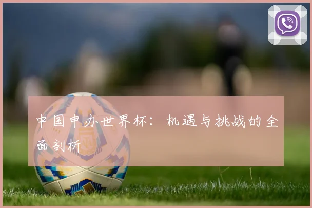 中国申办世界杯:机遇与挑战的全面剖析
