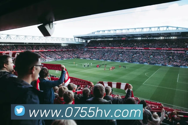 多媒体互动体验